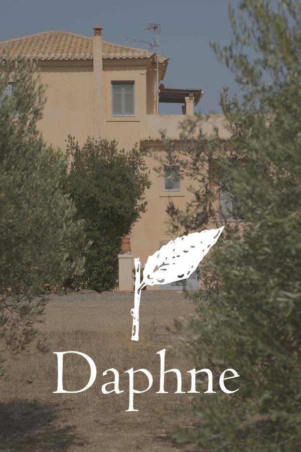 Villa Daphne Ermioni Exterior foto