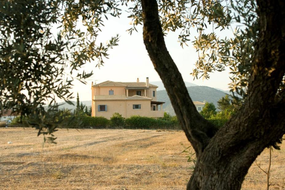 Villa Daphne Ermioni Exterior foto